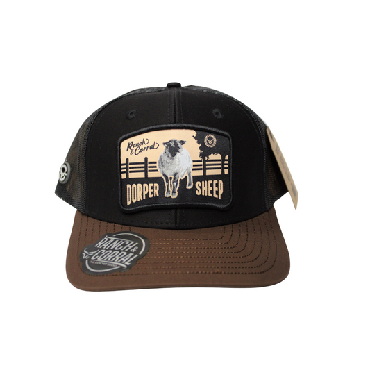 RANCH & CORRAL - DORPER SHEEP